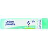 BOIRON Ledum Palustre Boiron 6 Ch Granuli 4g