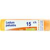 BOIRON Ledum Palustre (Boiron) 80 Granuli 15 Ch Contenitore Multidose