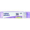 BOIRON Ledum Palustre Boiron 80 Granuli 30 Ch Multidose