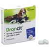 VETOQUINOL ITALIA DRONCIT 2 Compresse 50MG