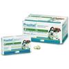 ECUPHAR ITALIA PRAZITEL*104CPR