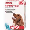 BEAPHAR B.V. FIPROTEC*3PIP 10-20KG CANI