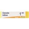 BOIRON Cocculus Indicus 1 Mk Dose 2020