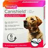 BEAPHAR B.V. Beaphar Canishield Collare Antiparassitario Cane Grande 1 Pezzo