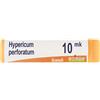 BOIRON Hypericum Perforatum 10 Mk Dose 2020