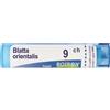 BOIRON Blatta Orientalis 9 Ch Tubo 2020