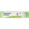 BOIRON Equisetum Hiemale 5Ch Granuli Multidose Boiron