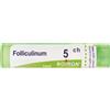 BOIRON Folliculinum 5Ch Granuli Multidose Boiron