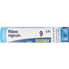 BOIRON Ribes Nigrum 9 Ch Tubo 2020