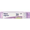 BOIRON Ribes Nigrum 30 Ch Tubo 2020