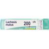 BOIRON Lachesis Mutus 200 Ch Tubo 2020