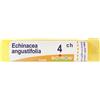BOIRON Echinacea Angustifol 4 Ch Tubo 2020