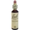 NATUR BACH CENTER ESS CRAB APPLE20ML