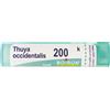 BOIRON Thuya Occidentalis 200 K Tubo 2020