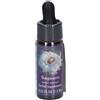 NATUR SAGUARO ESS 7,4ML CALF