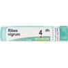 BOIRON Ribes Nigrum 04 Dh Tubo 2020