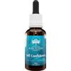 GREEN REMEDIES SELF CONFIDENCE ESS.Gtt 30ml