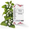 LINDA'S LAB. OMEOPATICI MELISSA GTT 30ML LINDAS