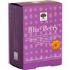 NEW NORDIC BLUE BERRY 60CPR