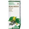 SPECCHIASOL Boldo 33 Tintura Madre 50ml
