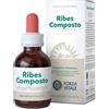 FORZA VITALE ITALIA Ribes Composto Gocce 50ml