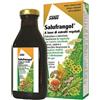 Salus Haus Salufrangol Integratore Alimentare Per Regolarità Intestinale 250ml