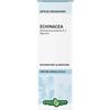ERBA VITA Echinacea Radice Soluzione Idroalcolica 50ml Erbavita