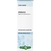 ERBA VITA Iperico Sommità Soluzione 50ml Erbavita