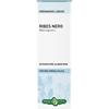 ERBA VITA Ribes Nero Foglie Tintura Idroalcolica 50ml Erbavita