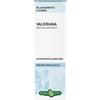 ERBA VITA Valeriana Radice Soluzione Idroalcolica 50ml Erbavita