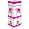 KOS ECHINACEA SOL IAL PIANTA FR100
