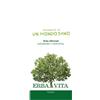 ERBA VITA Argilla Verde Super Ventilata 300g Erbavita