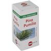 KOS Pino Pumilio Olio Essenziale 20 Ml