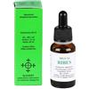 ALKAEST Mgs16 Ribes Macerato Glicerico Spg 20 Ml