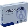 BIOGROUP PSICOPHYT 3-B 4 Tubi Globuli