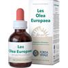 FORZA VITALE ITALIA Forza Vitale Les Olea Europaea 50ml