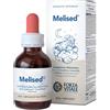 FORZA VITALE ITALIA Melised Gocce 50ml