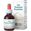FORZA VITALE ITALIA Les Fraxinus Excelsior Gocce 50ml