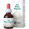 FORZA VITALE ITALIA Forza Vitale Les Ribes Nigrum 50ml