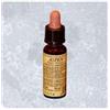 LABORATORIO ERBORISTICO DI LEO Fiori Di Bach 2 Aspen 10 Ml Di Leo