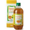 VIVIDUS Papaya Fermentata 500ml