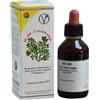 HERBOPLANET HS 109 UVA URSINA Comp.100ml