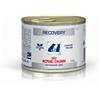 ROYAL CANIN ITALIA VD WET DOG&CAT RECOVERY 195G