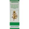 VEGETAL PROGRESS IVARTRITICA OLIO GERMI 50ML