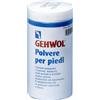 DUAL SANITALY Polvere Per Piedi 100g Gehwol
