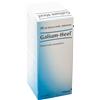 Guna Galium Heel Gocce Omeopatiche 30ml Per Disintossicazione E Supporto Immunitario
