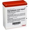 GUNA HYPOPHYSIS SUIS INJEEL 10 FIALE HEEL