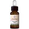 FORZA VITALE ITALIA Chestnut Bud Fiori Mediterranei Gocce 10ml