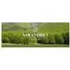 SARANDREA Artiglio Del Diavolo 100 Ml Gocce