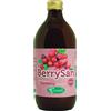 SANGALLI BERRYSAN PURO SUCCO CRANBERRY